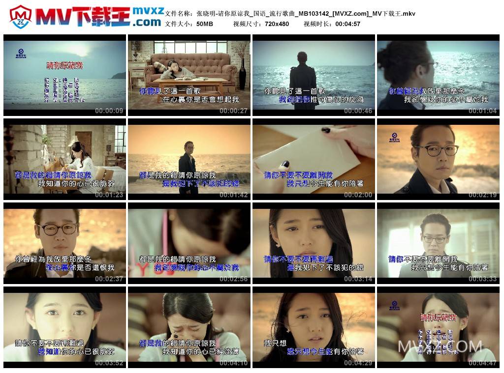 张晓明-请你原谅我_国语_流行歌曲_MB103142
